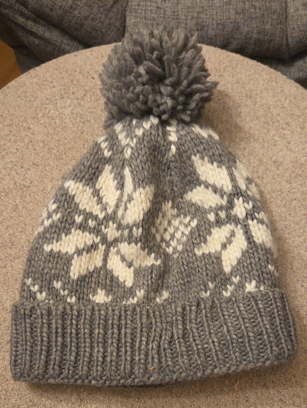 American Eagle Beanie